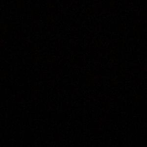 Meet your Posher, Pasquale